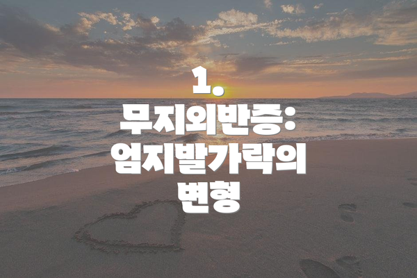 1. 무지외반증: 엄지발가락의 변형