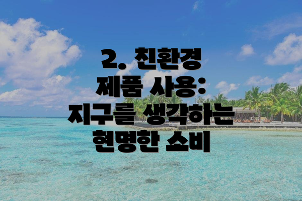 2. 친환경 제품 사용: 지구를 생각하는 현명한 소비