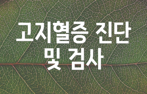 고지혈증 진단 및 검사