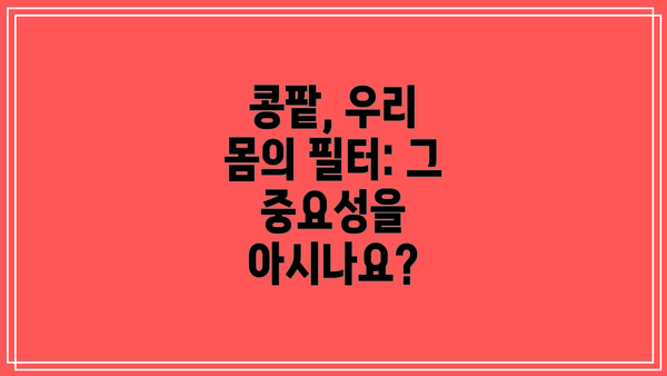 콩팥, 우리 몸의 필터: 그 중요성을 아시나요?
