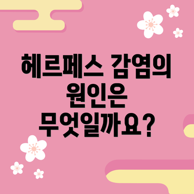 헤르페스 감염의 원인은 무엇일까요?