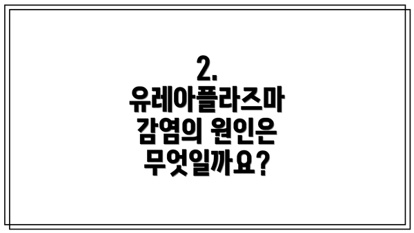 2. 유레아플라즈마 감염의 원인은 무엇일까요?