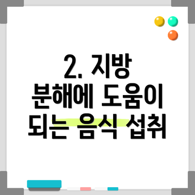 2. 지방 분해에 도움이 되는 음식 섭취