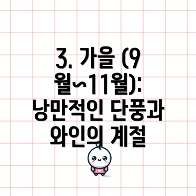 3. 가을 (9월~11월): 낭만적인 단풍과 와인의 계절