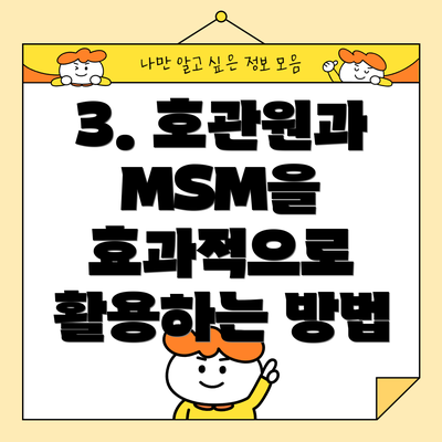 3. 호관원과 MSM을 효과적으로 활용하는 방법