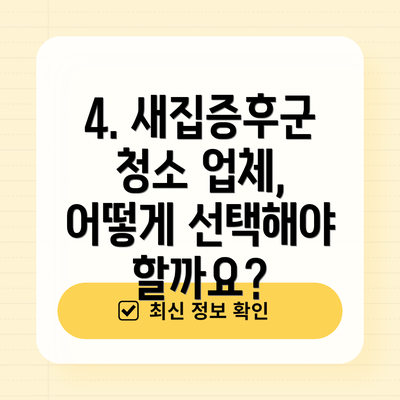 4. 새집증후군 청소 업체, 어떻게 선택해야 할까요?