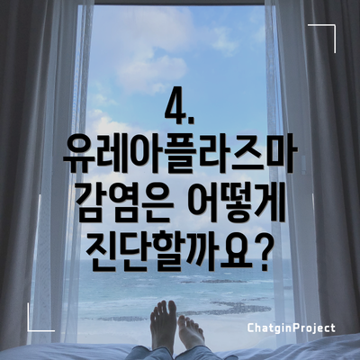 4. 유레아플라즈마 감염은 어떻게 진단할까요?