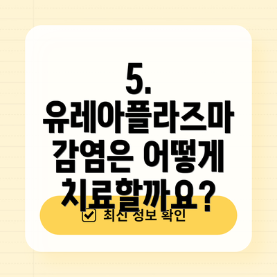5. 유레아플라즈마 감염은 어떻게 치료할까요?