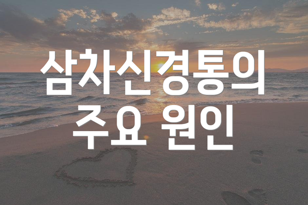 삼차신경통의 주요 원인