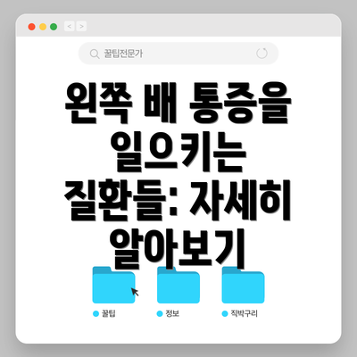 왼쪽 배 통증을 일으키는 질환들: 자세히 알아보기