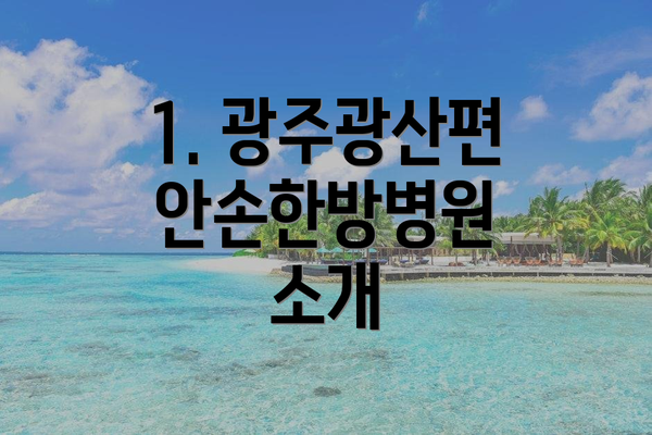 1. 광주광산편안손한방병원 소개
