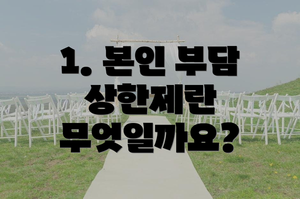1. 본인 부담 상한제란 무엇일까요?