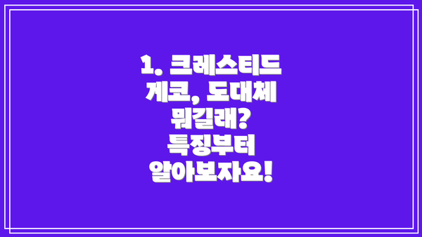 1. 크레스티드 게코, 도대체 뭐길래? 특징부터 알아보자요!
