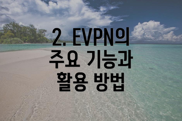 2. EVPN의 주요 기능과 활용 방법