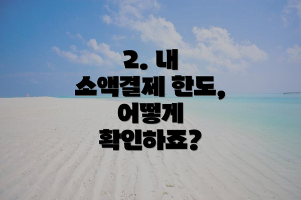 2. 내 소액결제 한도, 어떻게 확인하죠?