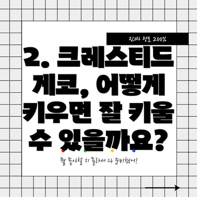 2. 크레스티드 게코, 어떻게 키우면 잘 키울 수 있을까요?