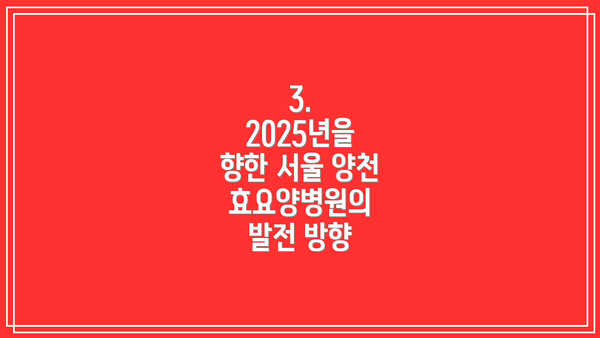 3.  2025년을 향한 서울 양천 효요양병원의 발전 방향