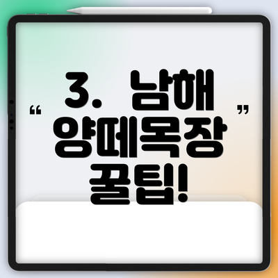3.  남해 양떼목장  꿀팁!