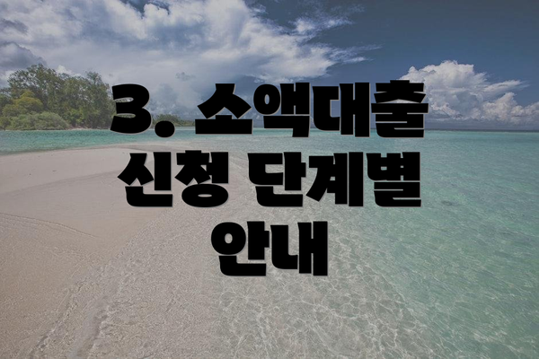 3. 소액대출 신청 단계별 안내