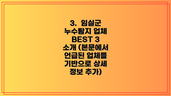 3.  임실군 누수탐지 업체 BEST 3 소개 (본문에서 언급된 업체를 기반으로 상세 정보 추가)