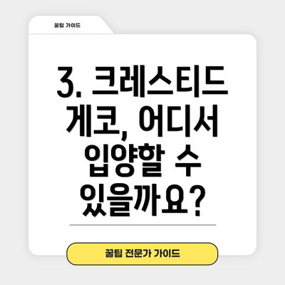 3. 크레스티드 게코, 어디서 입양할 수 있을까요?