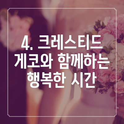 4. 크레스티드 게코와 함께하는 행복한 시간