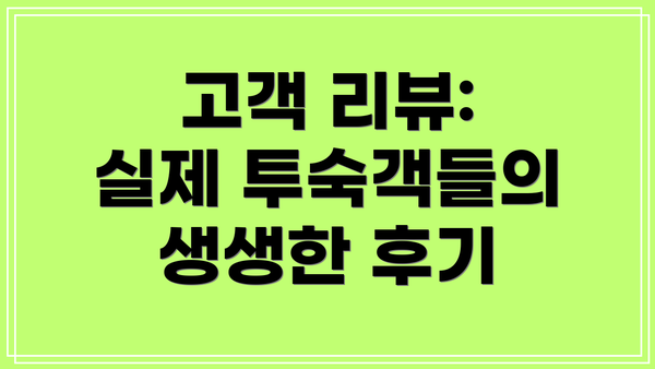 고객 리뷰:  실제 투숙객들의 생생한 후기