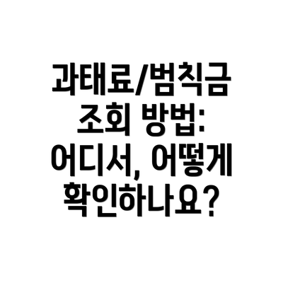 과태료/범칙금 조회 방법: 어디서, 어떻게 확인하나요?