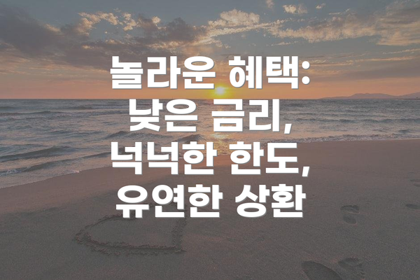 놀라운 혜택: 낮은 금리, 넉넉한 한도, 유연한 상환