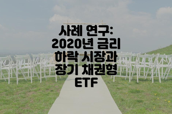 사례 연구: 2020년 금리 하락 시장과 장기 채권형 ETF