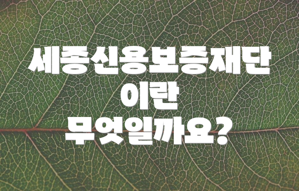 세종신용보증재단이란 무엇일까요?