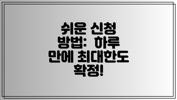 쉬운 신청 방법:  하루 만에 최대한도 확정!