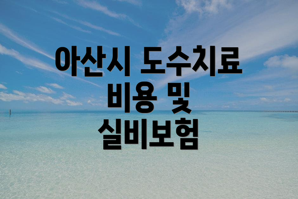아산시 도수치료 비용 및 실비보험