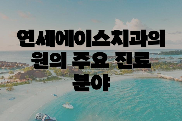 연세에이스치과의원의 주요 진료 분야