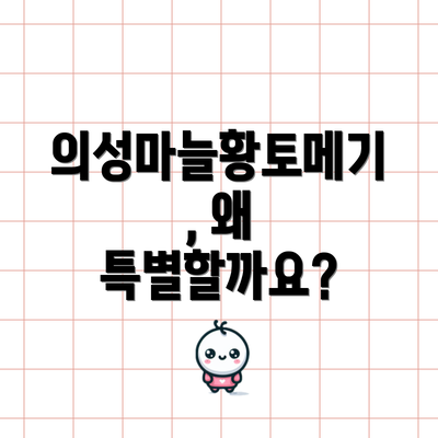 의성마늘황토메기, 왜 특별할까요?