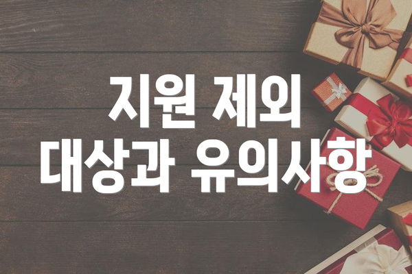 지원 제외 대상과 유의사항