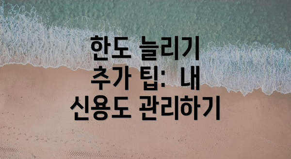 한도 늘리기 추가 팁:  내 신용도 관리하기