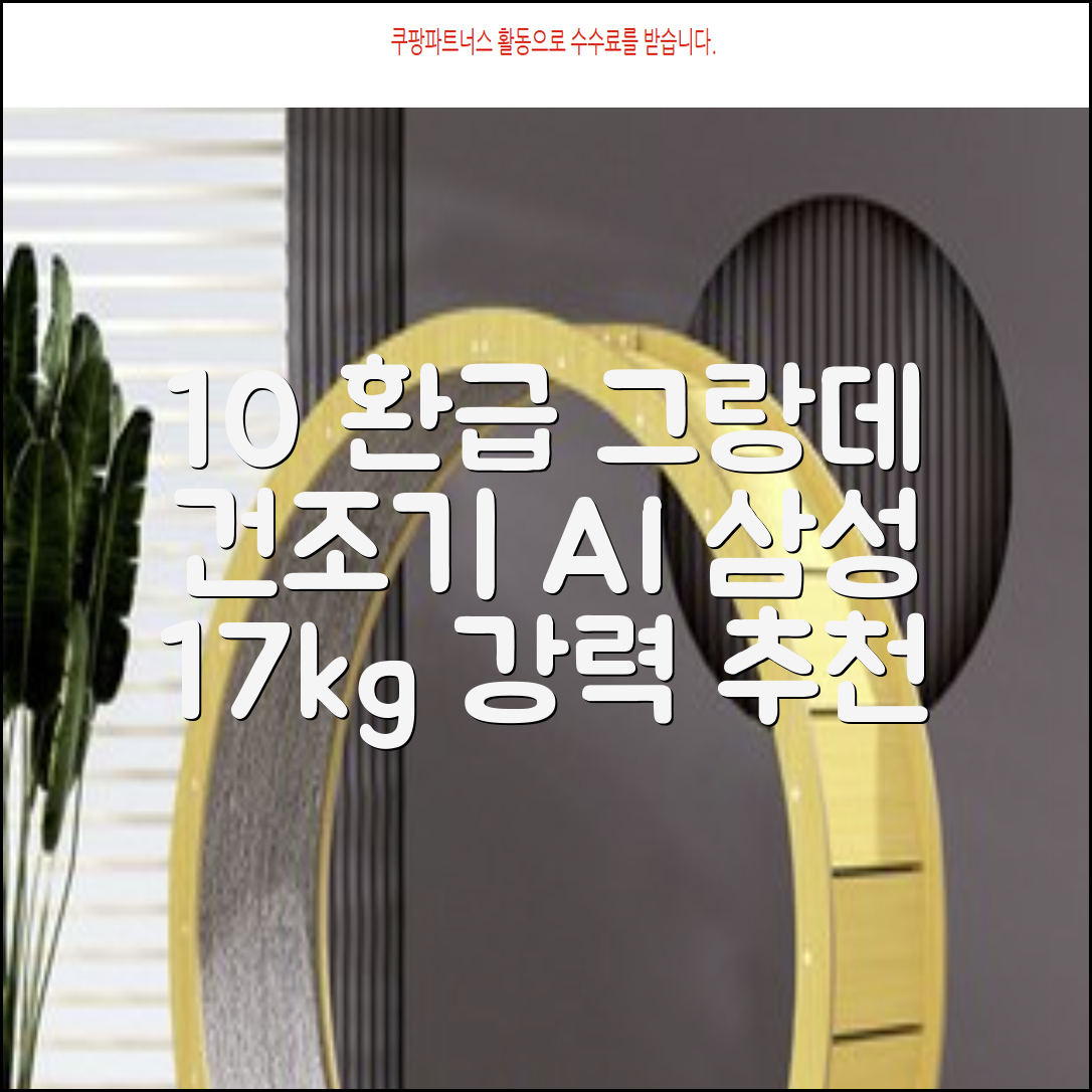 [10% 환급가전] 삼성전자 그랑데 건조기 AI 이녹스 DV17T8740BP 17kg 방문설치 추천 리뷰