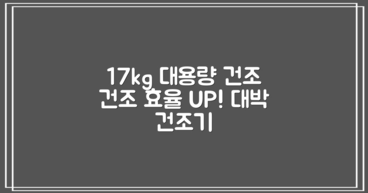 17kg 대용량, 건조 효율 극대화