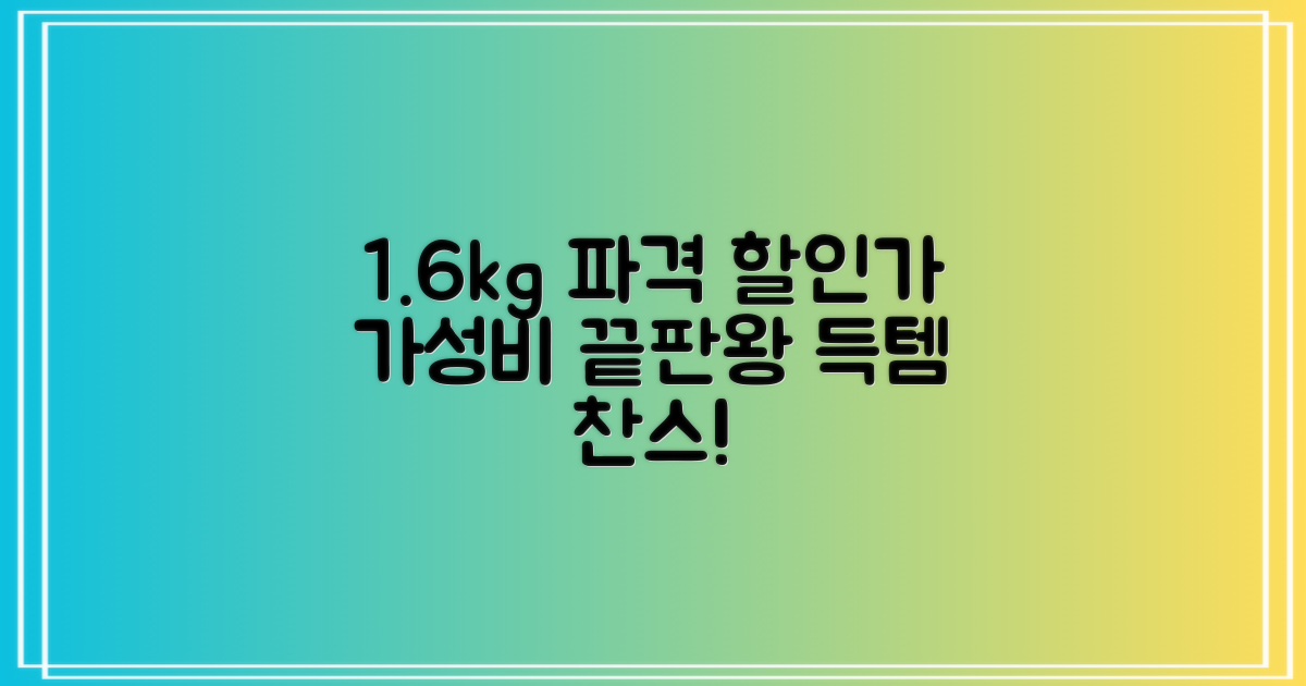 1.6kg, 합리적인 가격 구성