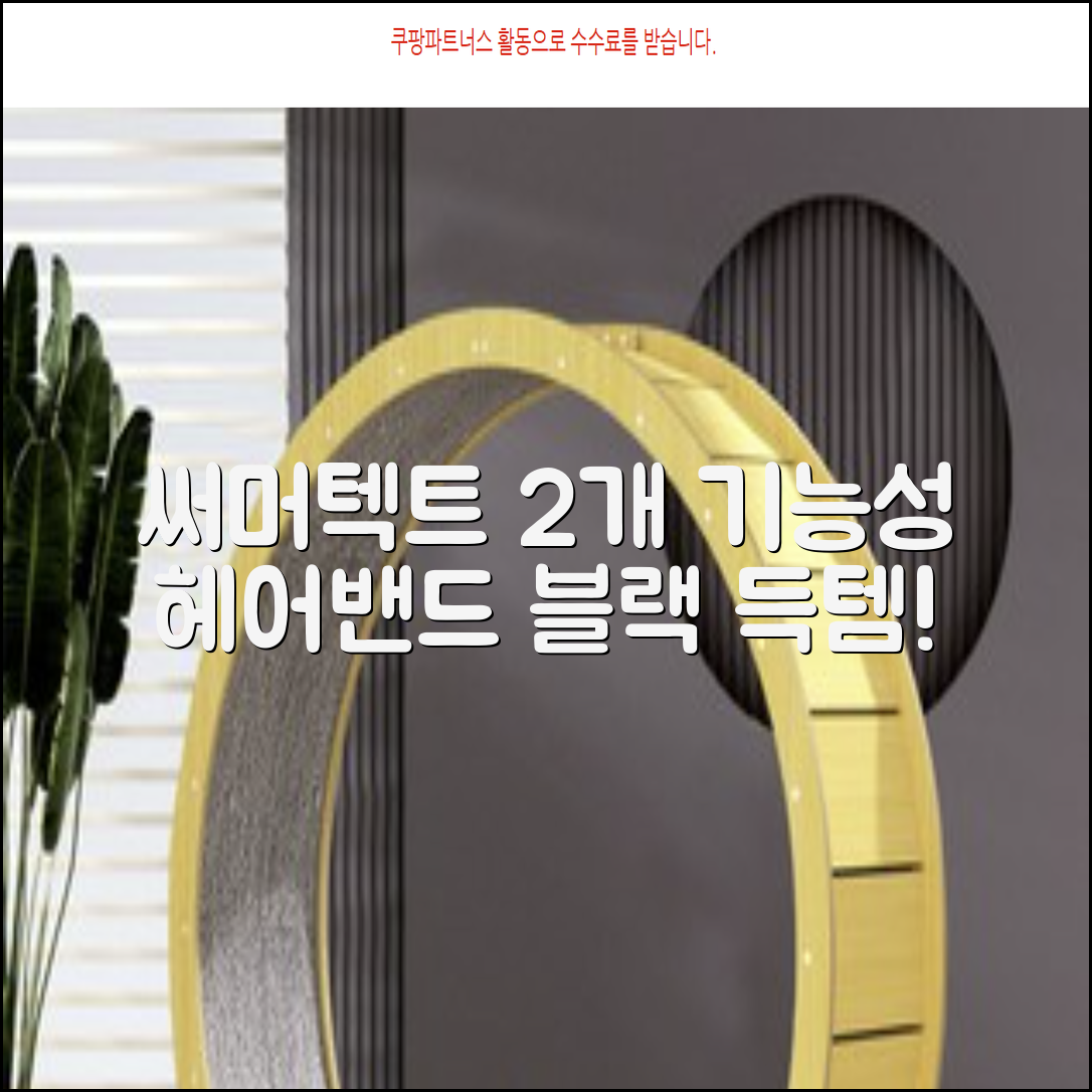 써머텍트 기능성 헤어밴드, 블랙, 2개 추천 리뷰